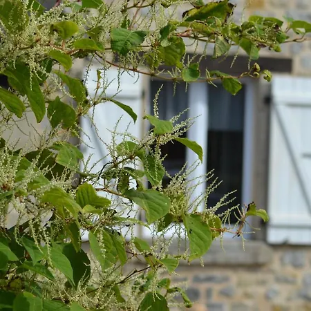 Proche De Sainte Mere-eglise Сasa de vacaciones Neuville-au-Plain