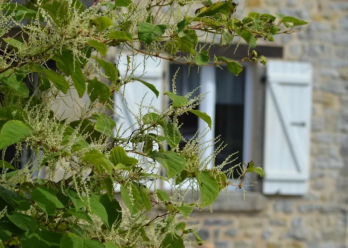 Proche De Sainte Mere-eglise Дом отдыха Neuville-au-Plain