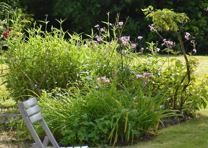 Proche De Sainte Mere-eglise