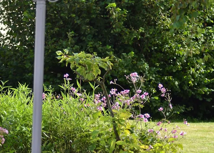 Proche De Sainte Mere-eglise Neuville-au-Plain